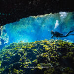 Private Cenote Diving & Underwater Photography Tour