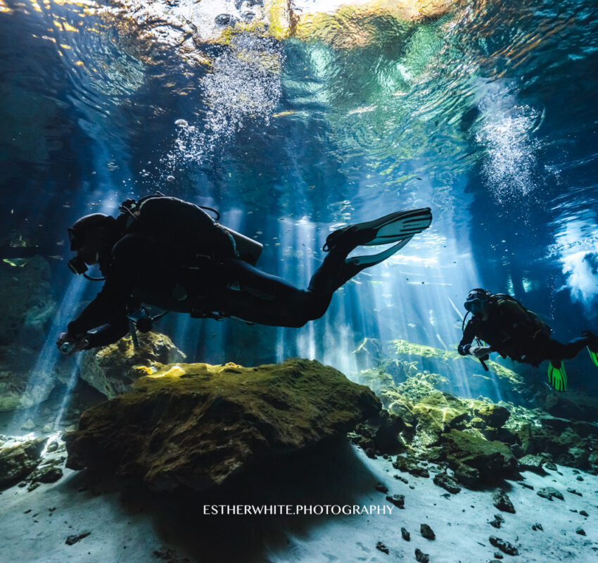 Private Cenote Diving Tours in Yucatán | Hidden Caverns